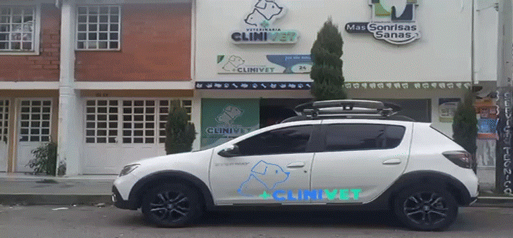 Carro en movimiento