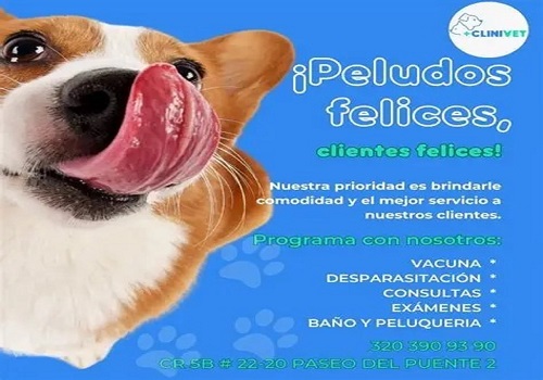 Pet 1