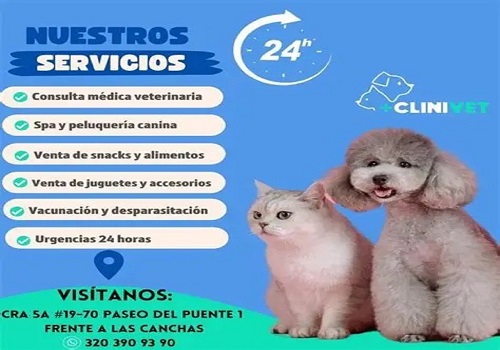 Pet 2