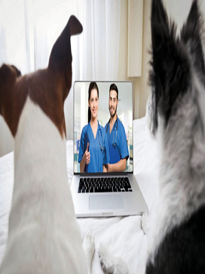 Telemedicina
